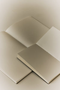 Set of 2 Tomoe River Notebooks