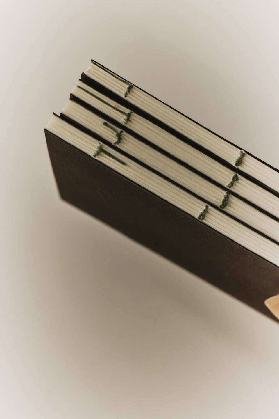 Set of 2 Tomoe River Notebooks